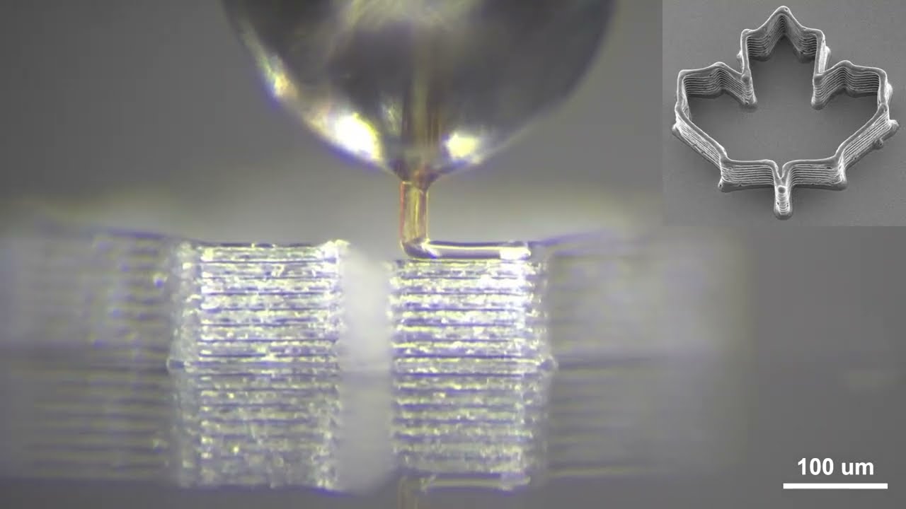 3D necroprinting: using mosquito proboscis as high-resolution nozzle - YouTube